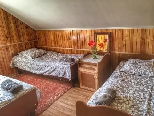 Батуми: Guest House in Batumi