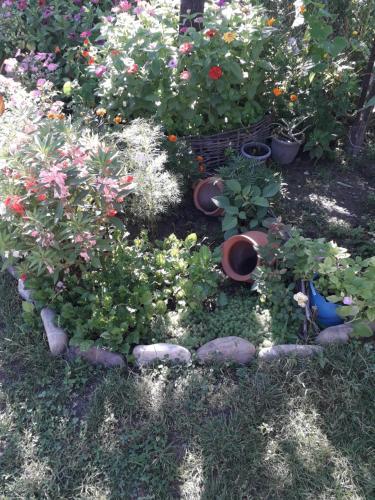 Телави: Hostel Kakheti