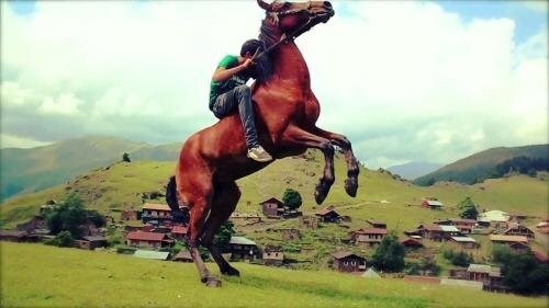 Телави: Hostel Kakheti
