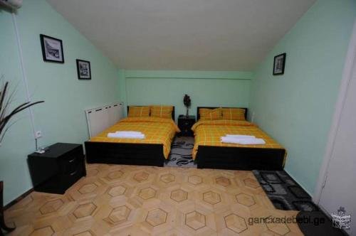 Телави: Hostel Kakheti