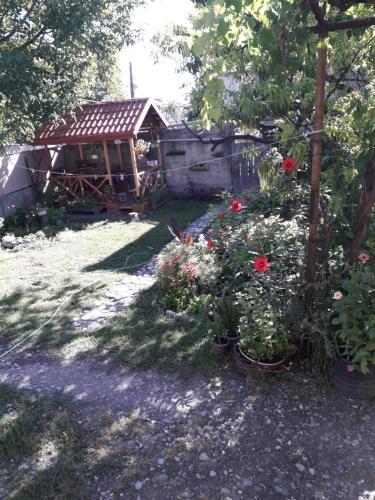 Телави: Hostel Kakheti