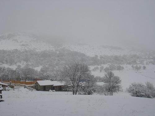 Тбилиси: Georgios Ranch