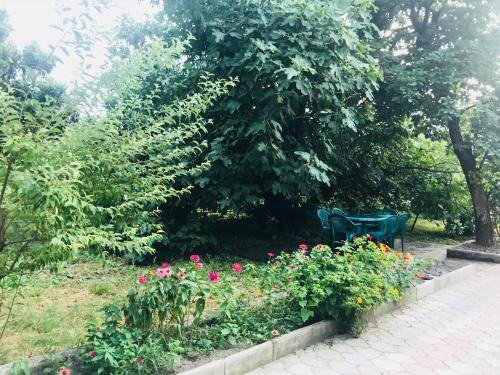 Телави: Homestay Talia