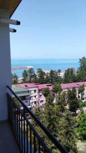 Батуми: Flat Leselidze 3