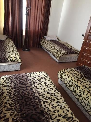 Ленкорань: Hostel