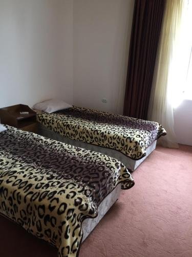 Ленкорань: Hostel