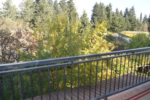 Тбилиси: peaceful yellow hostel with garden