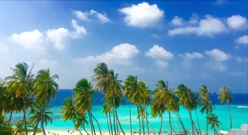 Южный Мале Атол: Maafushi Veli Guesthouse at Maafushi