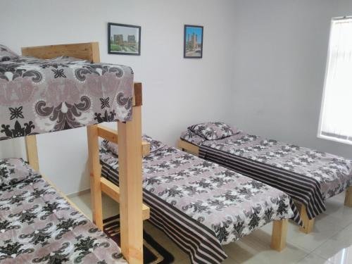 Ташкент: European Backpacker & Sakura Hostel
