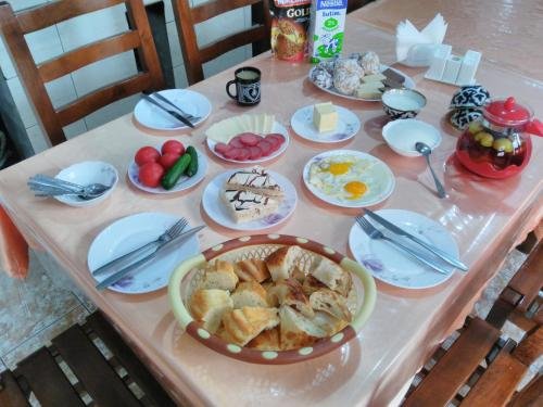 Ташкент: European Backpacker & Sakura Hostel