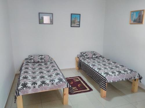 Ташкент: European Backpacker & Sakura Hostel