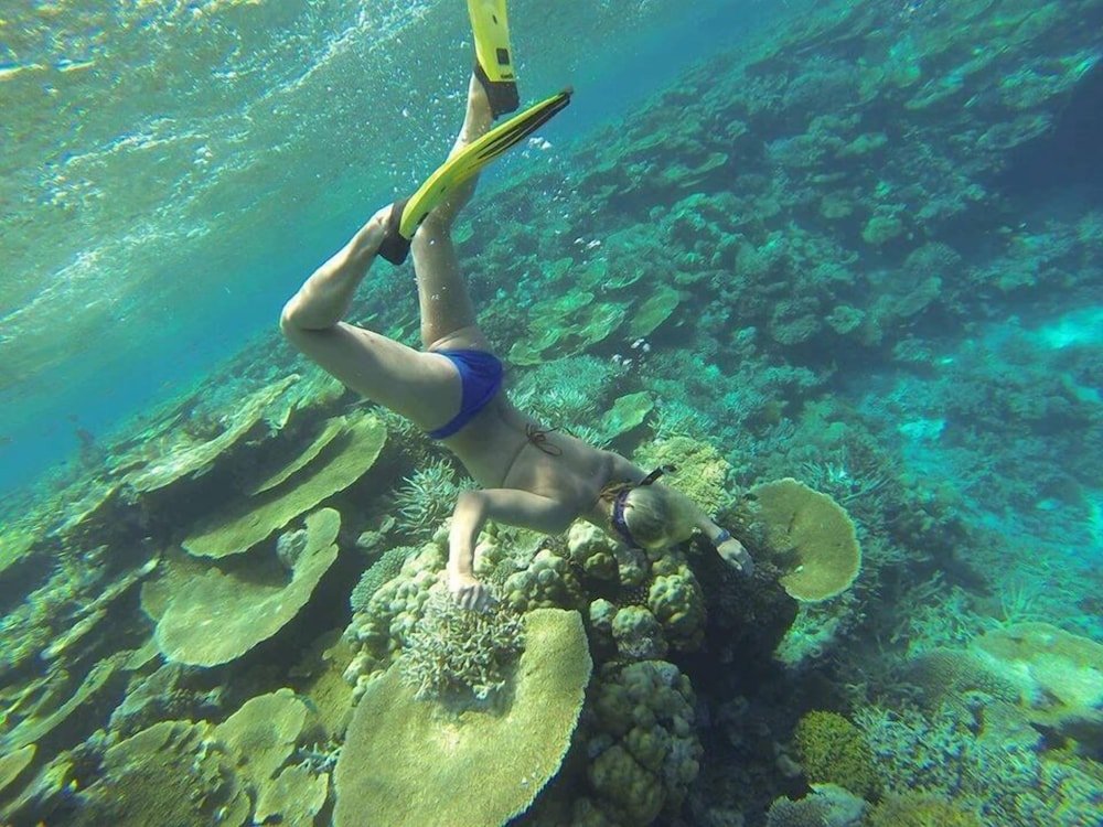 Атолл Хаа-Дхаалу: Fanhaa Maldives