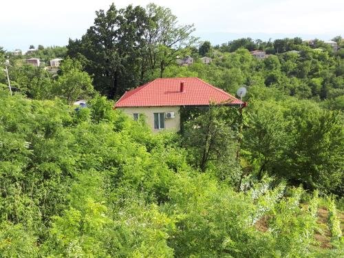 Кутаиси: Guest house LIA