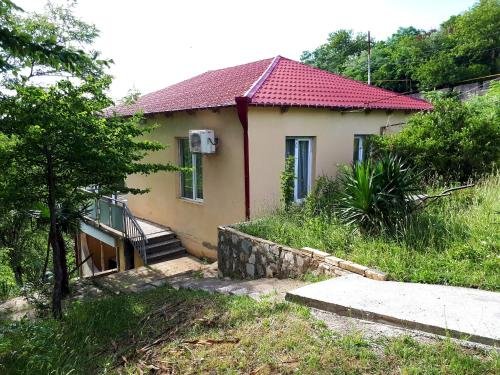 Кутаиси: Guest house LIA
