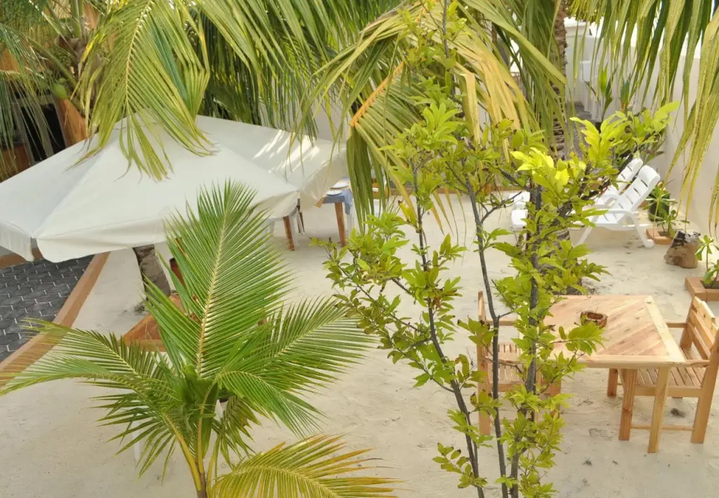 Южный Мале Атол: Holiday Lodge Maldives