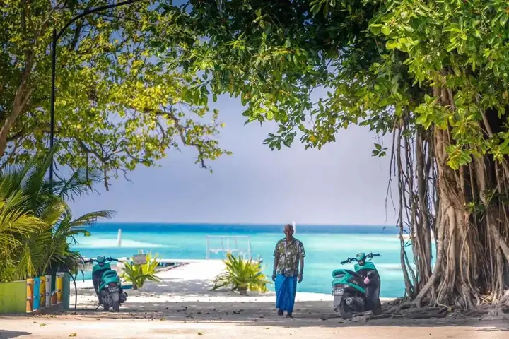 Атолл Баа: Fehendhoo Stay