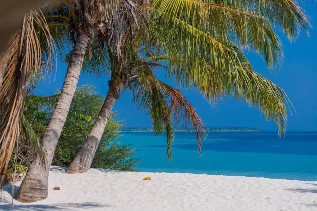 Атолл Баа: Fehendhoo Stay