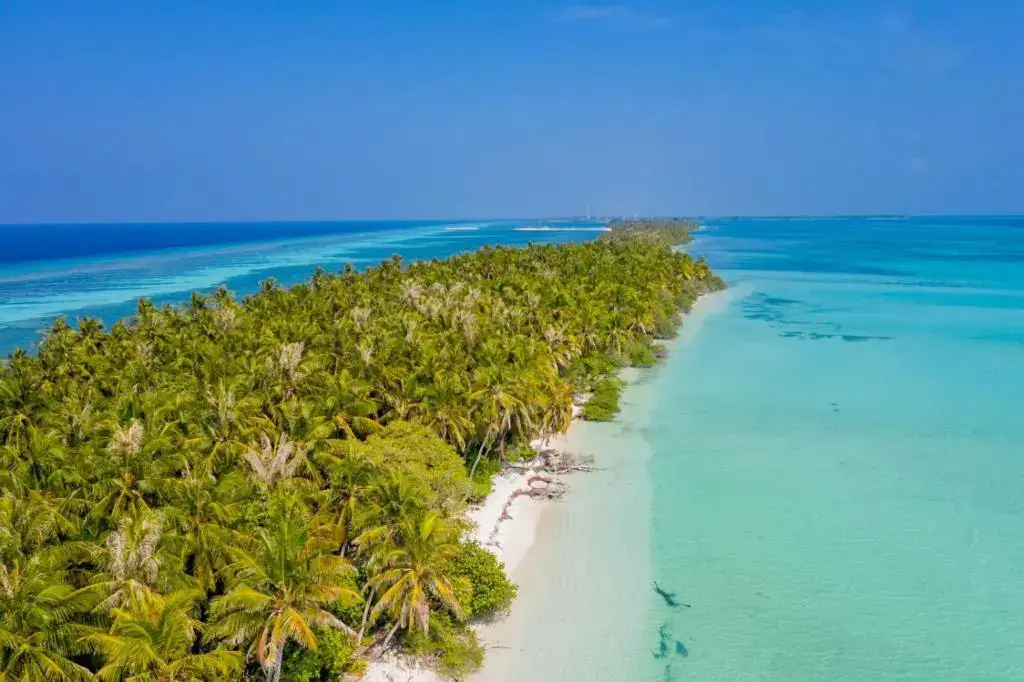 Атолл Баа: Fehendhoo Stay