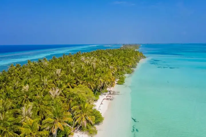 Атолл Баа: Fehendhoo Stay