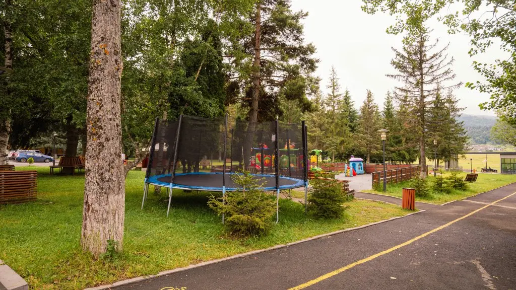 Бакуриани: Отель Bakuriani Inn