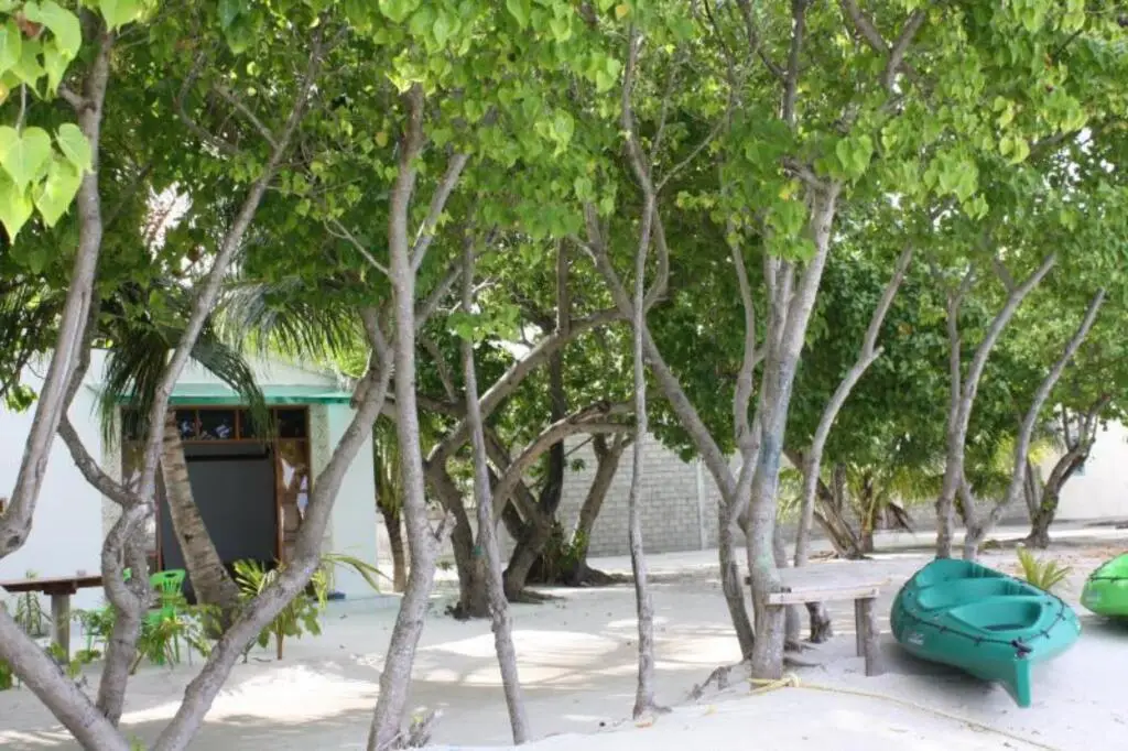 Ithaa Beach Maldives  — фото 1