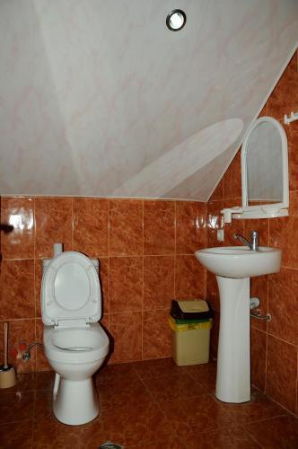Боржоми: Hotel Texel