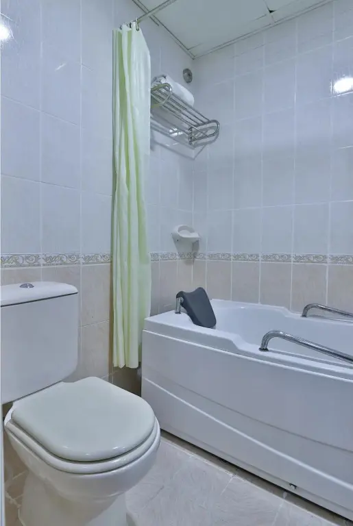 Дубай: Palette Phoenix Hotel