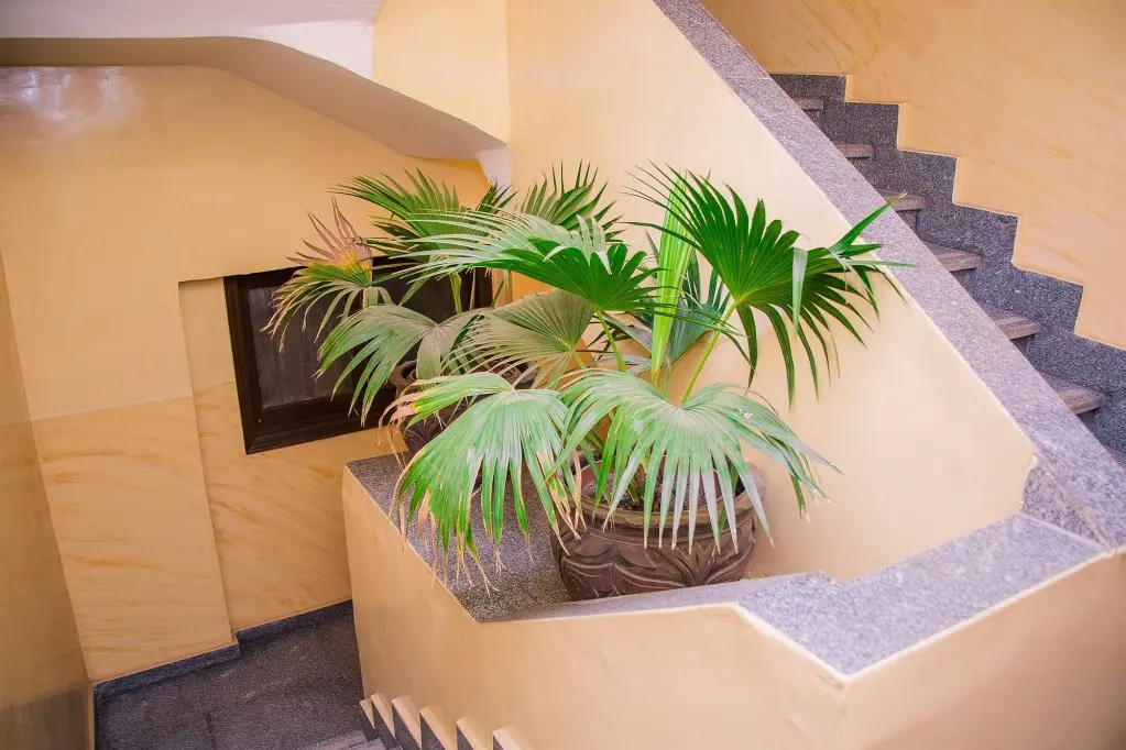 Гиза: Guardian Guest House