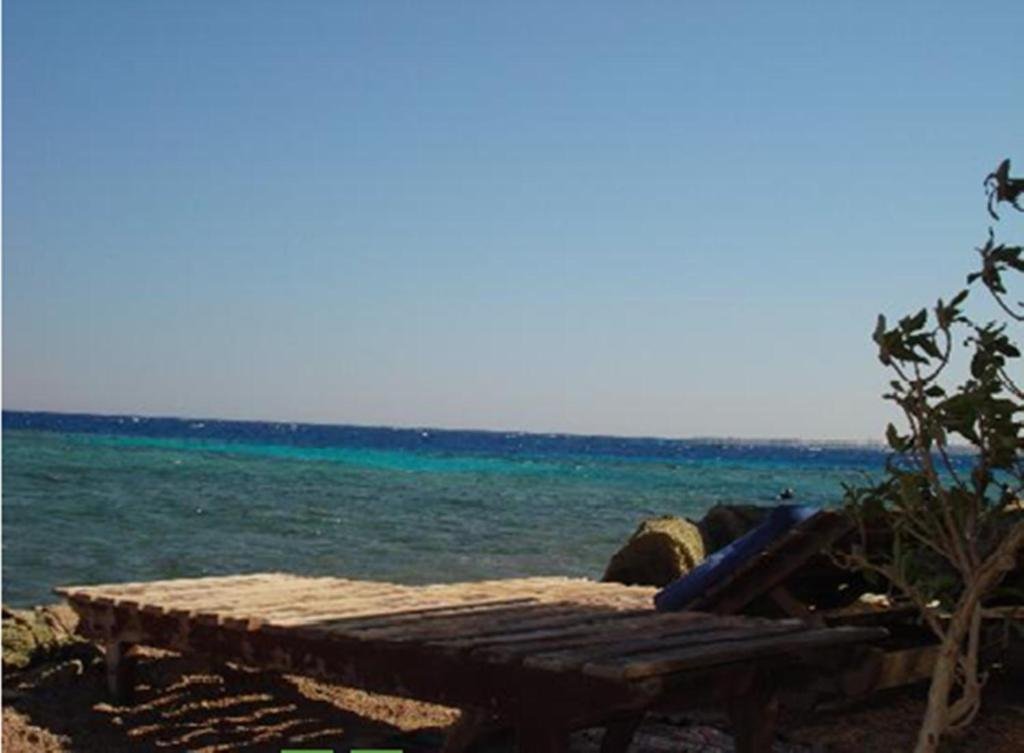 Дахаб: Penguin Village Dahab
