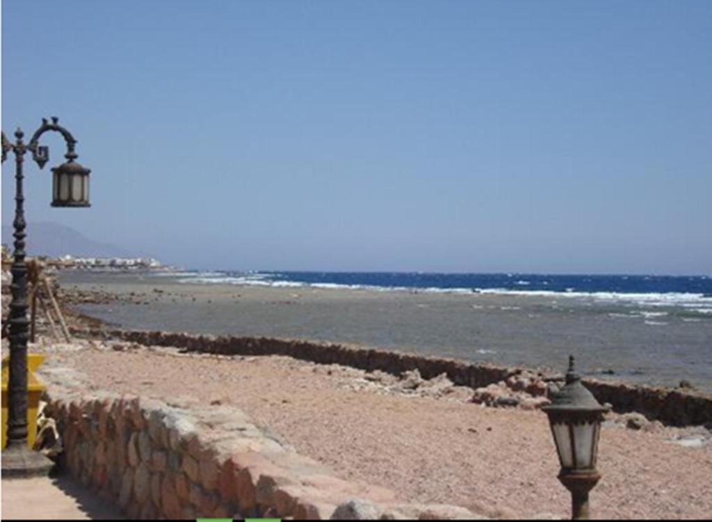 Дахаб: Penguin Village Dahab