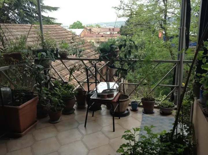 Тбилиси: Tsisana Guest House