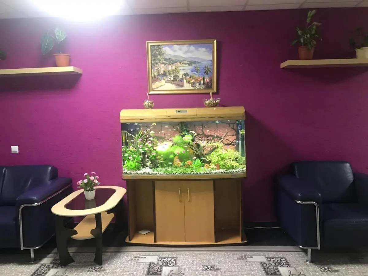 Екатеринбург: B&B Hostel