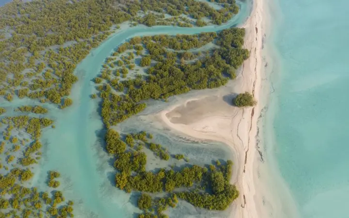 Остров Сир-Бани-Яс: Desert Island Resort & Spa by Anantara