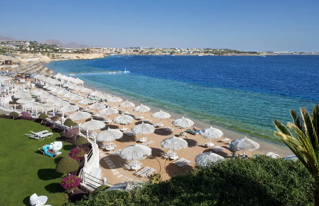 Шарм-эш-Шейх (Шарм-эль-Шейх): SUNRISE Arabian Beach Resort