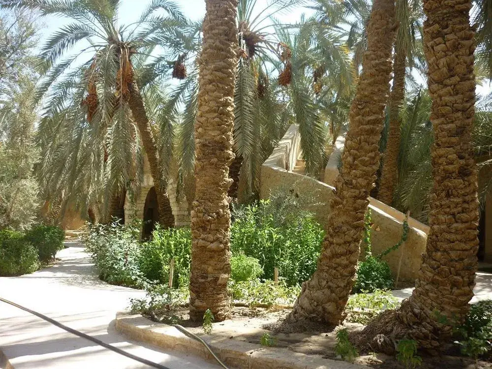 Сива: Carols Ghaliet Ecolodge Siwa