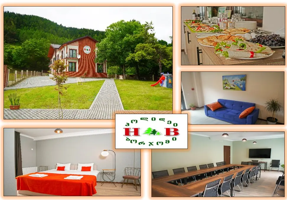 Боржоми: Hotel Holiday Borjomi