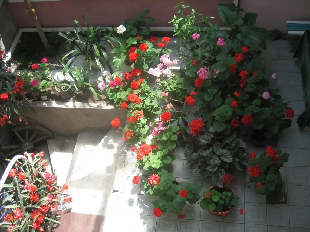 Дилижан: Dili Villa