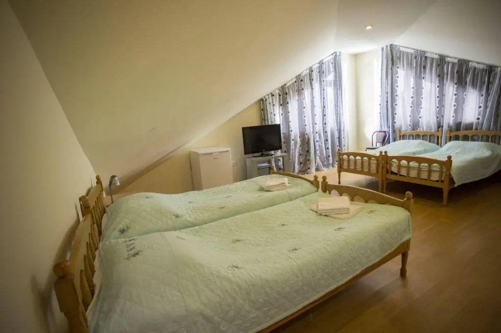 Бакуриани: Vila Vita Hotel