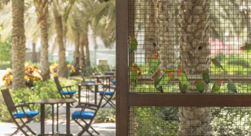 Шарджа: Hotel Coral Beach Resort Sharjah