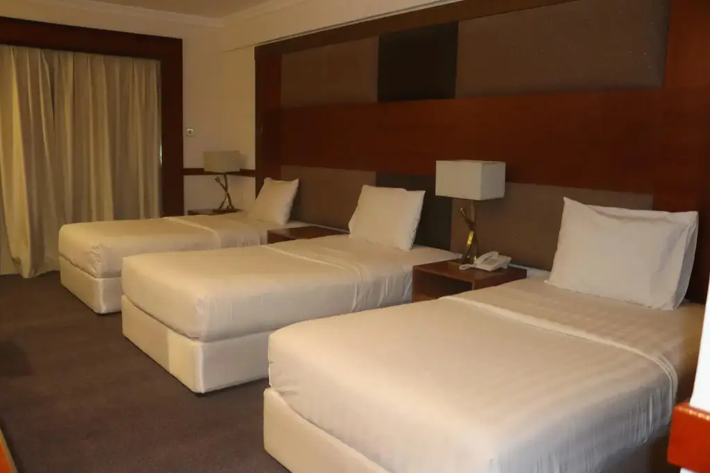Дубай: GSS Avenue Hotel