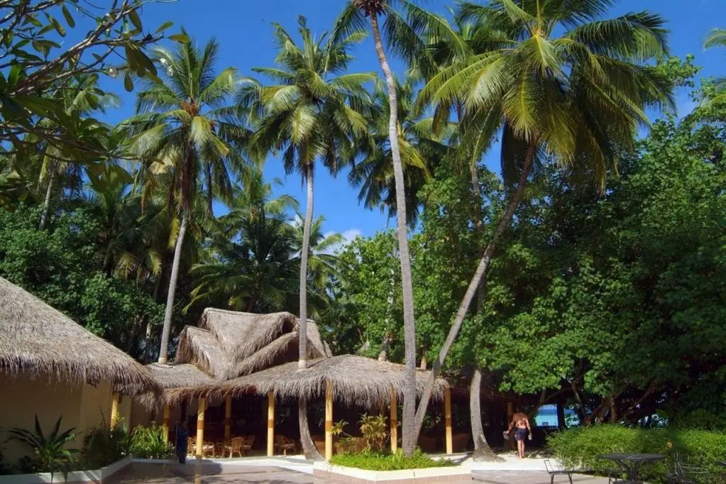 Южный Мале Атол: Курорт Biyadhoo Island