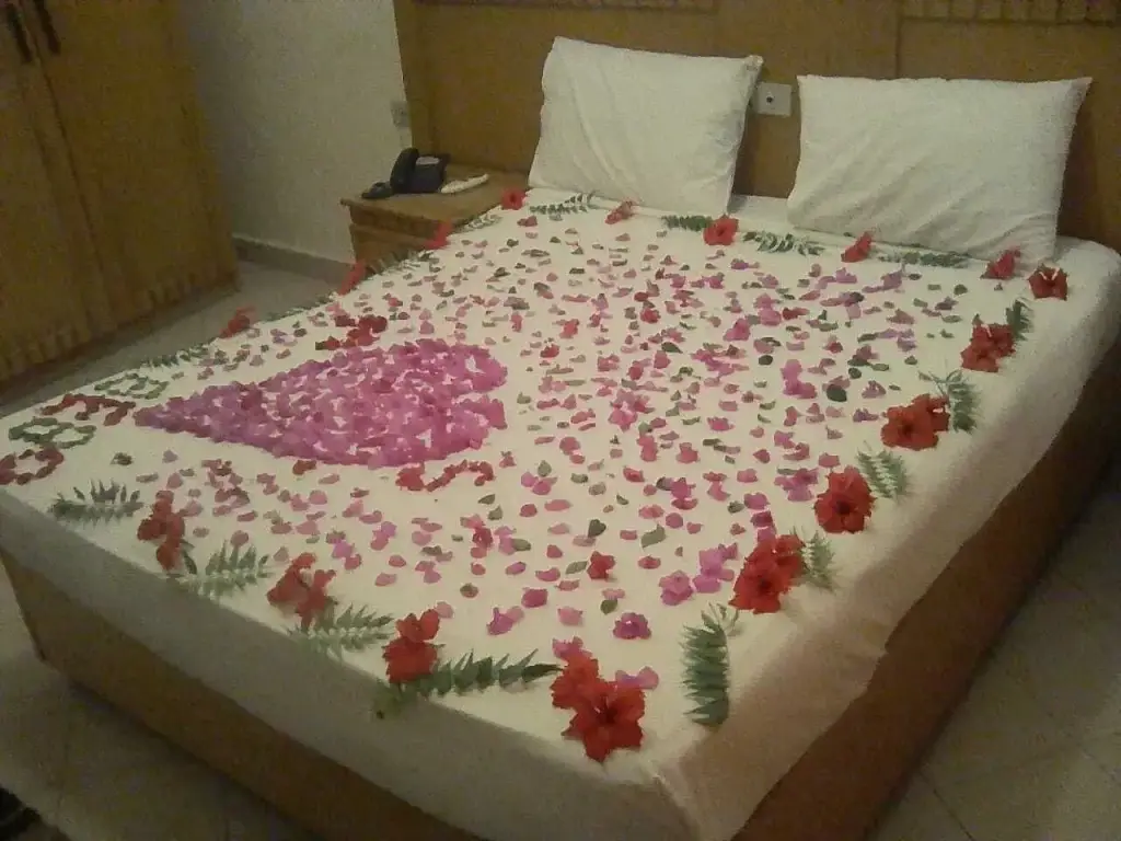 Дахаб: Oricana Dahab