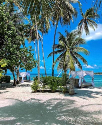 Северный атолл Мале: Samura Maldives Guest House