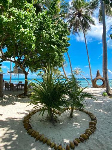Северный атолл Мале: Samura Maldives Guest House