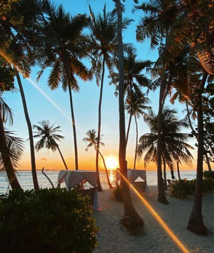 Северный атолл Мале: Samura Maldives Guest House