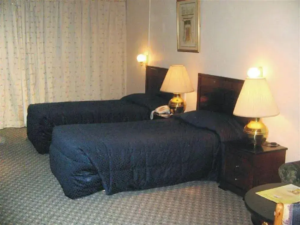 Шарджа: Sun And Sands Plaza Hotel