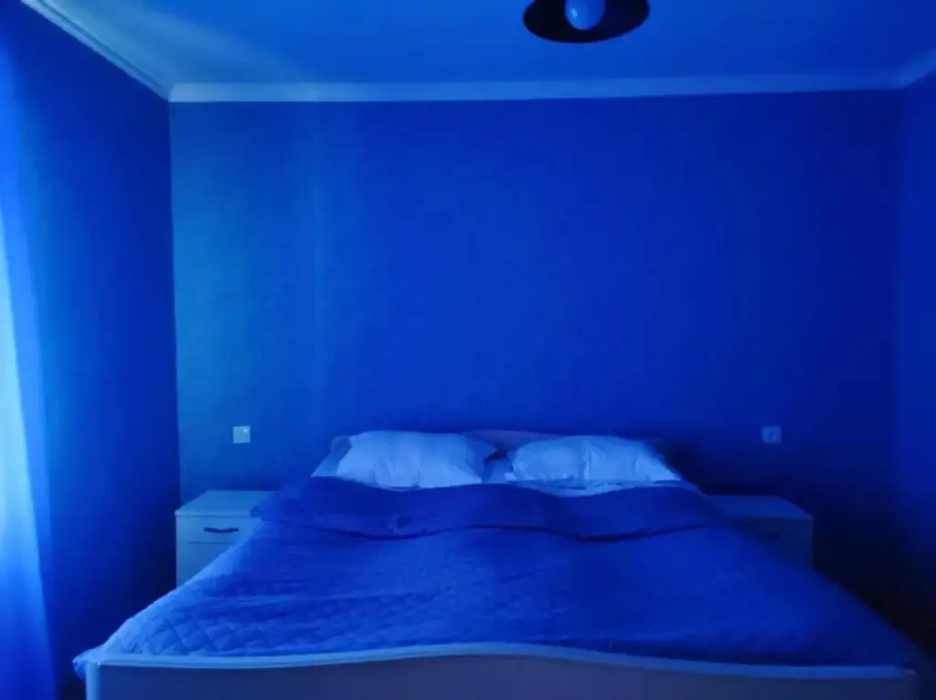 Степанцминда: Lia&Ramaz Guest House