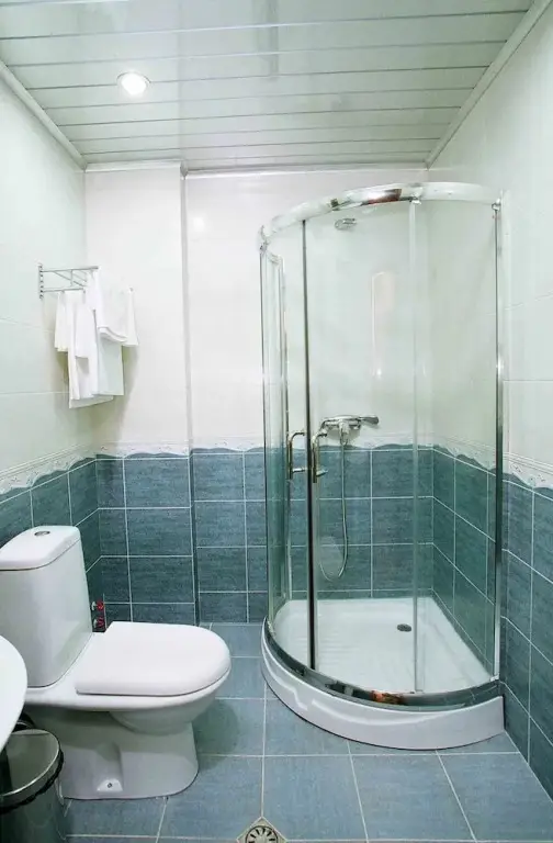 Бакуриани: Victoria Hotel & Spa