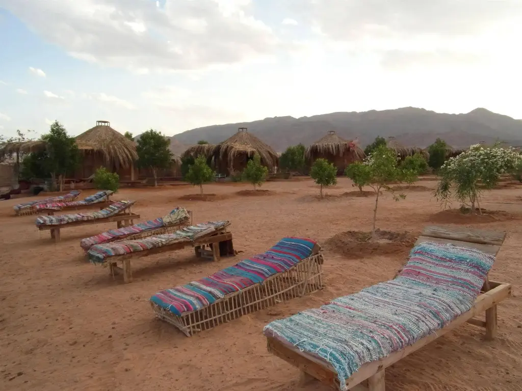 Таба: Bedouin Star