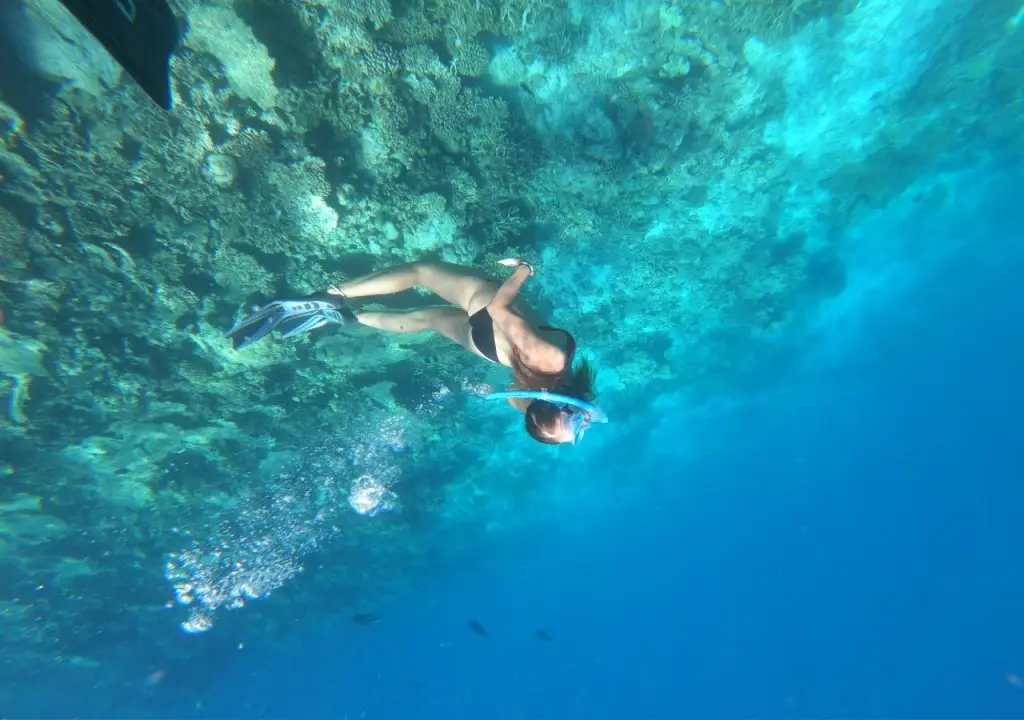 Южный Мале Атол: White Sand Lodge at Maafushi